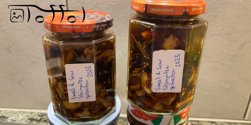 Steinpilze Sweet &amp; Sour (gebraten) - Natur's süsse Melodie, von Erde geküsst und im Herzen die Saat des Waldes